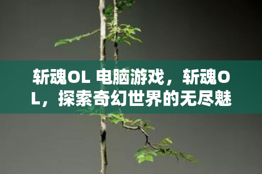 斩魂OL 电脑游戏，斩魂OL，探索奇幻世界的无尽魅力