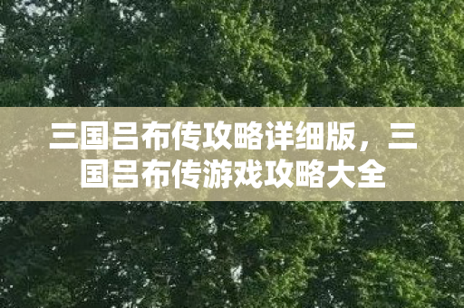 三国吕布传攻略详细版，三国吕布传游戏攻略大全