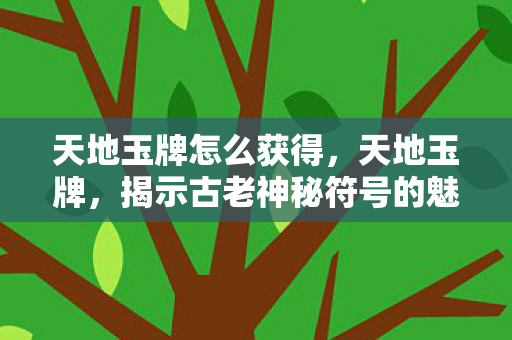 天地玉牌怎么获得，天地玉牌，揭示古老神秘符号的魅力