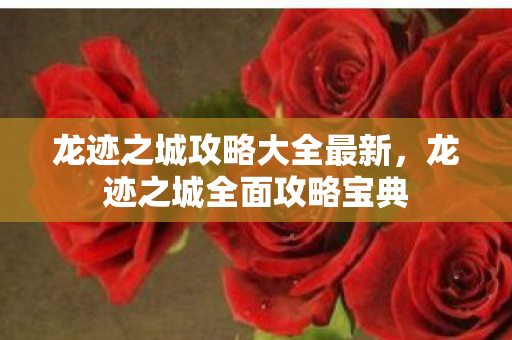 龙迹之城攻略大全最新，龙迹之城全面攻略宝典