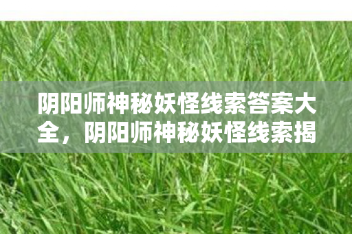 阴阳师神秘妖怪线索答案大全，阴阳师神秘妖怪线索揭秘