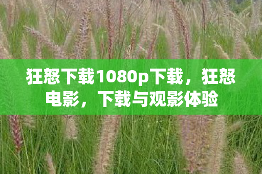 狂怒下载1080p下载，狂怒电影，下载与观影体验