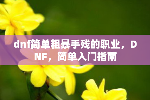 dnf简单粗暴手残的职业，DNF，简单入门指南