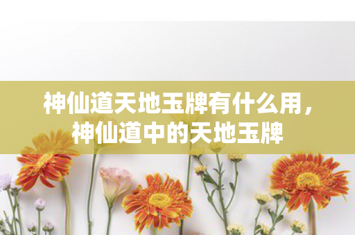 神仙道天地玉牌有什么用，神仙道中的天地玉牌