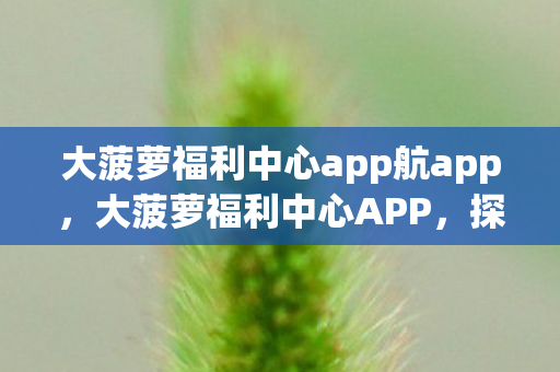 大菠萝福利中心app航app，大菠萝福利中心APP，探索全新福利体验