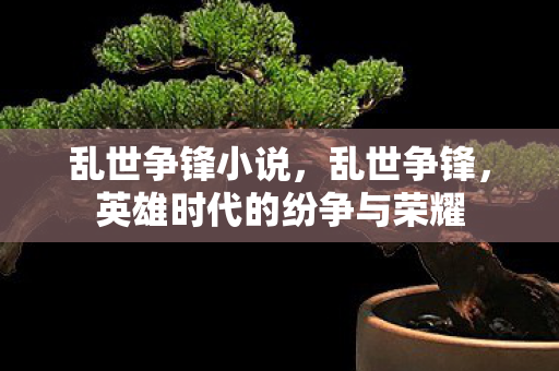 乱世争锋小说，乱世争锋，英雄时代的纷争与荣耀