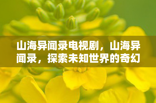 山海异闻录电视剧，山海异闻录，探索未知世界的奇幻之旅