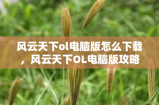 风云天下ol电脑版怎么下载，风云天下OL电脑版攻略及体验分享