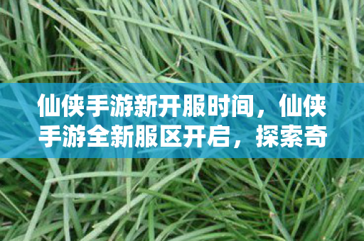 仙侠手游新开服时间，仙侠手游全新服区开启，探索奇幻世界新篇章
