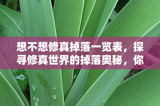 想不想修真掉落一览表，探寻修真世界的掉落奥秘，你是否愿意踏上这趟旅程？