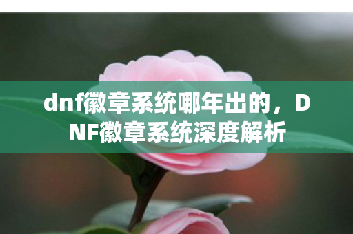 dnf徽章系统哪年出的，DNF徽章系统深度解析