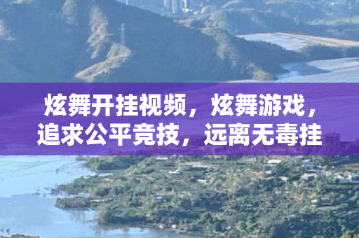 炫舞开挂视频，炫舞游戏，追求公平竞技，远离无毒挂