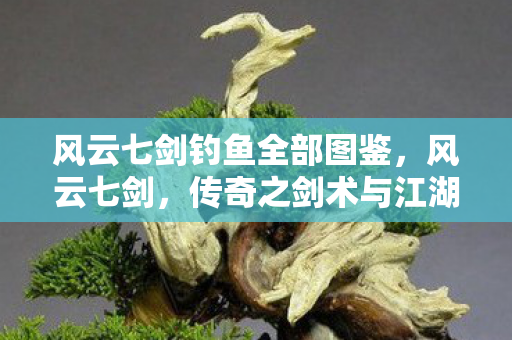风云七剑钓鱼全部图鉴，风云七剑，传奇之剑术与江湖风云