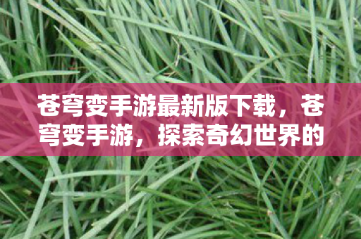 苍穹变手游最新版下载，苍穹变手游，探索奇幻世界的无尽魅力