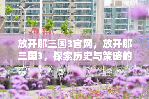 放开那三国3官网，放开那三国3，探索历史与策略的魅力