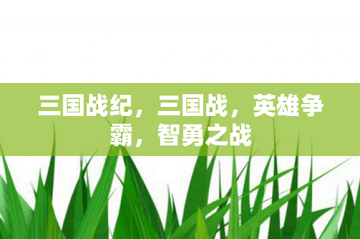三国战纪，三国战，英雄争霸，智勇之战