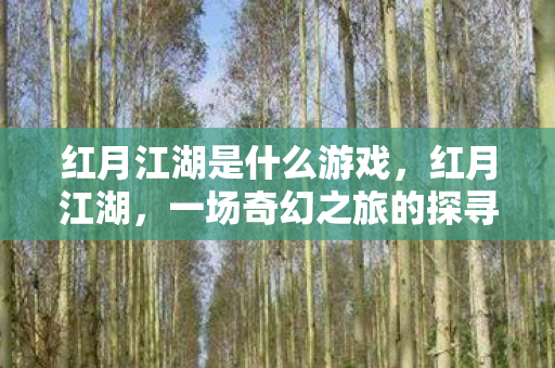 红月江湖是什么游戏，红月江湖，一场奇幻之旅的探寻