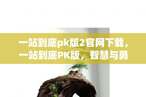 一站到底pk版2官网下载，一站到底PK版，智慧与勇气的较量