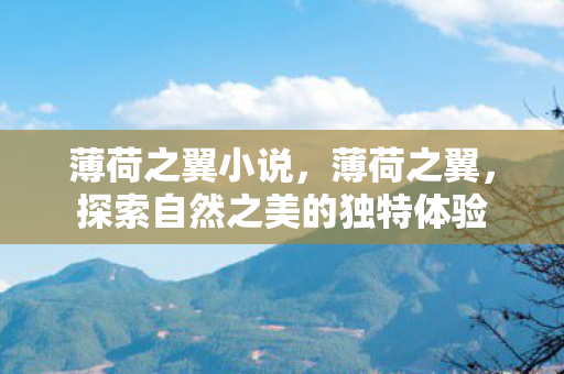 薄荷之翼小说，薄荷之翼，探索自然之美的独特体验