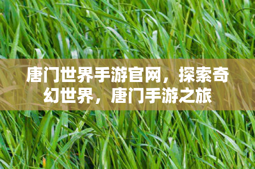 唐门世界手游官网，探索奇幻世界，唐门手游之旅