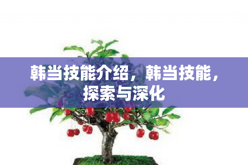 韩当技能介绍，韩当技能，探索与深化