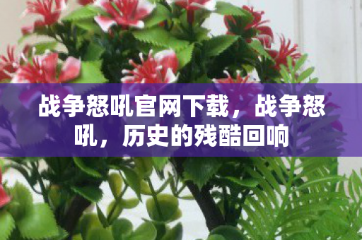 战争怒吼官网下载，战争怒吼，历史的残酷回响