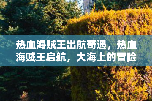 热血海贼王出航奇遇，热血海贼王启航，大海上的冒险之旅