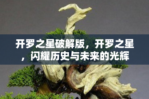 开罗之星破解版，开罗之星，闪耀历史与未来的光辉