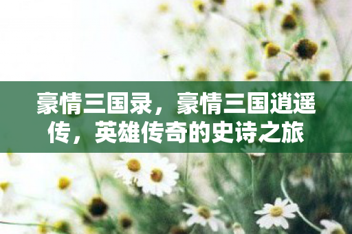 豪情三国录，豪情三国逍遥传，英雄传奇的史诗之旅