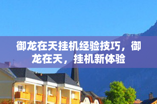 御龙在天挂机经验技巧，御龙在天，挂机新体验