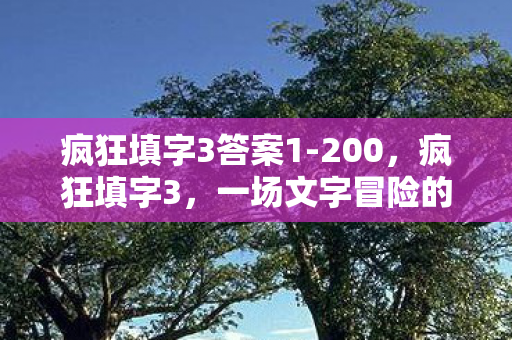 疯狂填字3答案1-200，疯狂填字3，一场文字冒险的狂欢盛宴
