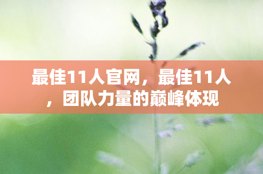 最佳11人官网，最佳11人，团队力量的巅峰体现