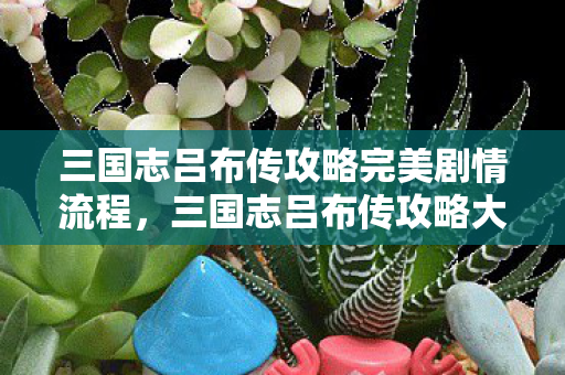 三国志吕布传攻略完美剧情流程，三国志吕布传攻略大全