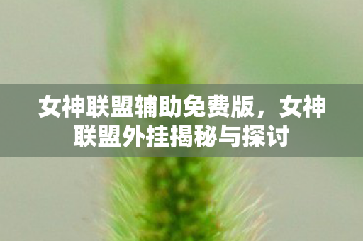 女神联盟辅助免费版，女神联盟外挂揭秘与探讨