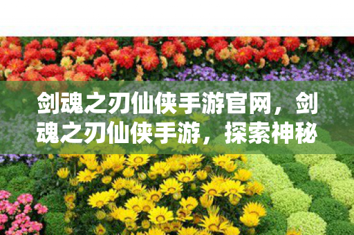 剑魂之刃仙侠手游官网，剑魂之刃仙侠手游，探索神秘仙侠世界