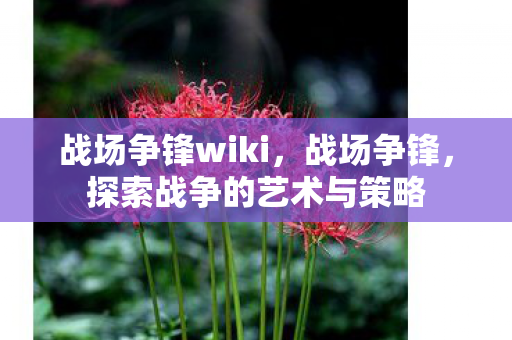 战场争锋wiki，战场争锋，探索战争的艺术与策略