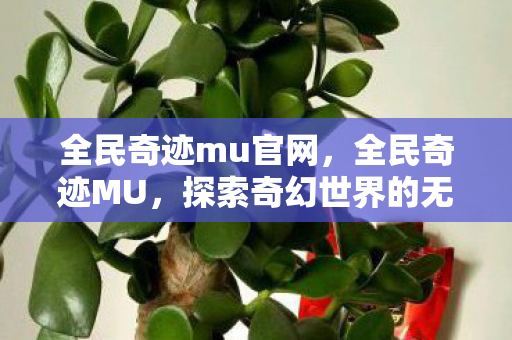 全民奇迹mu官网，全民奇迹MU，探索奇幻世界的无限可能