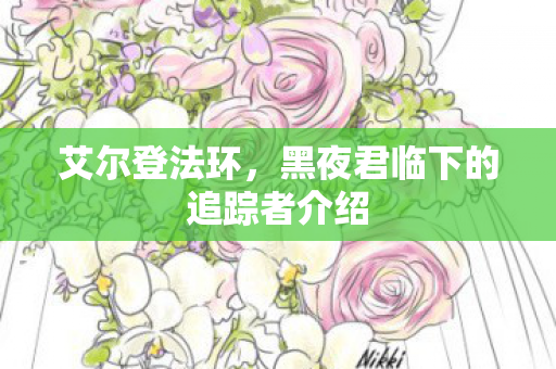 艾尔登法环，黑夜君临下的追踪者介绍