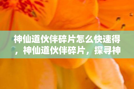 神仙道伙伴碎片怎么快速得，神仙道伙伴碎片，探寻神秘世界的宝藏之旅