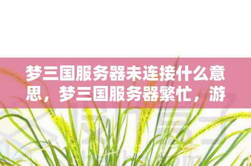 梦三国服务器未连接什么意思，梦三国服务器繁忙，游戏运营的繁荣与挑战