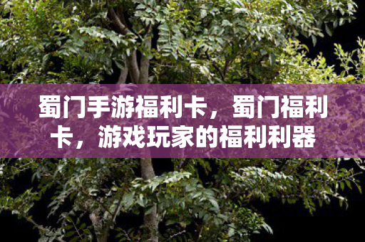 蜀门手游福利卡，蜀门福利卡，游戏玩家的福利利器