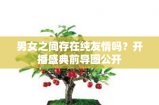 男女之间存在纯友情吗？开播盛典前导图公开