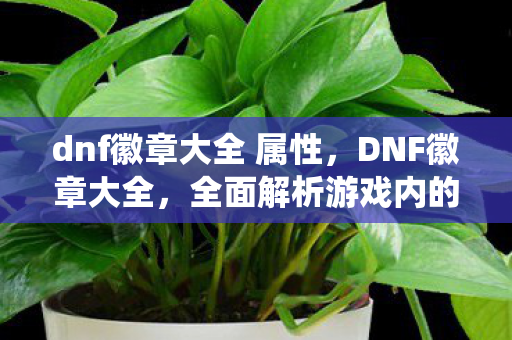 dnf徽章大全 属性，DNF徽章大全，全面解析游戏内的徽章系统