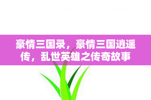 豪情三国录，豪情三国逍遥传，乱世英雄之传奇故事