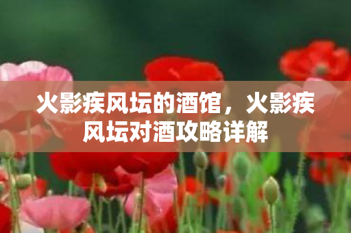 火影疾风坛的酒馆，火影疾风坛对酒攻略详解