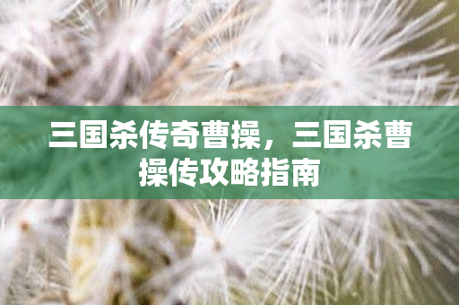 三国杀传奇曹操，三国杀曹操传攻略指南