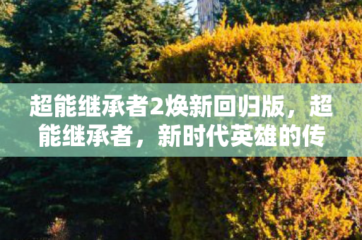 超能继承者2焕新回归版，超能继承者，新时代英雄的传承之力