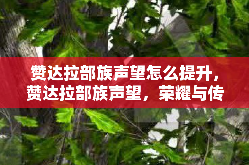 赞达拉部族声望怎么提升，赞达拉部族声望，荣耀与传承的辉煌篇章，荣耀与传承，提升赞达拉部族声望的辉煌篇章