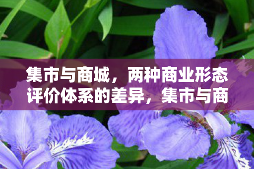集市与商城，两种商业形态评价体系的差异，集市与商城，商业形态评价体系的差异