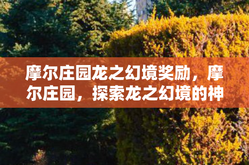 摩尔庄园龙之幻境奖励，摩尔庄园，探索龙之幻境的神秘之旅，摩尔庄园，龙之幻境神秘之旅，丰厚奖励等你来拿！